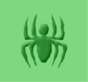 AcopSpider